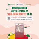 요있찌