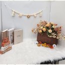 아지묭실 이미지