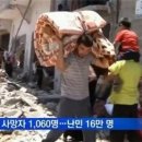 하마사 이미지