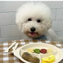 보또리똥 | 평택강아지수제간식 보또리똥 반려동물 간식 자주 이용하는곳!
