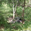 삼태농장 이미지