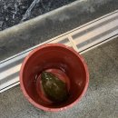 단골수산 이미지