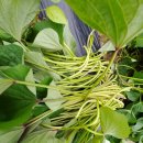 인희네농장 이미지