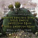 서울육묘