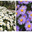 묵림한의원 이미지