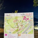 야생화답사 | 양산 국화축제 방문 후기(feat. 황산공원) 행사기간은 11월 16일(일)까지