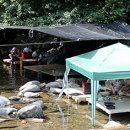 지식인력개발형태 이미지