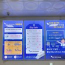 진도터미널약국 | 제주에서 목포 배편 퀸제누비아호 식당 객실 이코노미 후기