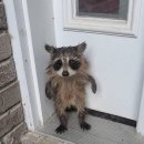 의식의 흐름 이미지