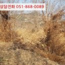 포항시북구63 이미지