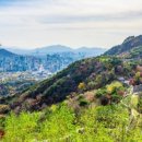 공유숲 이미지