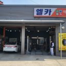 엘카정비