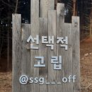퇴촌전자담배 | 캠핑장 자연 속의 고즈넉함을 즐길 수 있는 선택적고립 캠핑장 - A7 사이트 이용 후기 ▪︎ 명당 사이트 추천