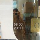 미담약국 네이버블로그