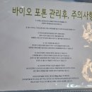 여우만들기연구소 이미지