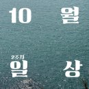 지에스(GS)25 덕천의성로점 | 해피 추석 10월 둘쨋주 일상