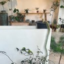 금조농장 이미지