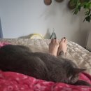 생활풍수와 명리학 기초 이미지