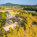 제10회 은행마을 단풍 축제 이미지