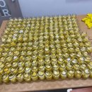 즐거운베스트태권도 이미지