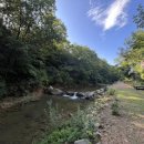 거기그곳에 이미지