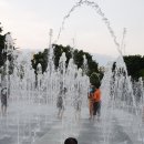 세천강변 이미지