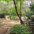 목포실내체육관 테니스장 네이버블로그