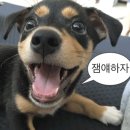 한진BM | 핫걸되기 프로젝트