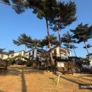 쏠미라벨 이미지