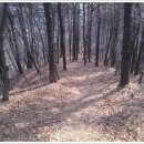 운주산 등산로 이미지