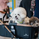 모두의 집사 이미지