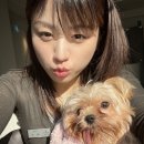 신촌애견미용실 이미지