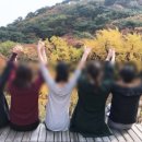 철없는 새우 이미지