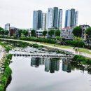 읍내 지구대 | [소비일기]대구 칠곡 신상 오픈한 칠곡식자재마트 읍내점 방문 후기