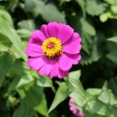 타코구어요 이미지