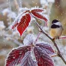 산과호수 이미지