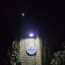 알로하펜션 | 힐링 그 자체! 춘천감성숙소 춘천펜션알로하부자 독채 펜션 후기