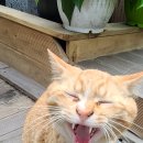 신성꽃집 이미지