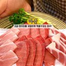 참치정육식당 담주