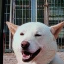 무지개훈련소 이미지