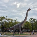 고성자연사박물관 | 26살 성인 둘이 고성 공룡 엑스포 다녀온 후기