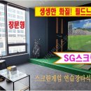 SG스크린골프 이미지