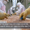 보령섬영어조합법인 이미지