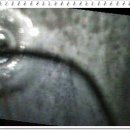 케일주식회사 이미지