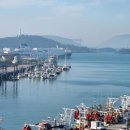 터미널수산 이미지