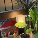 리빙푸드 | 2026 서울리빙디자인페어 빠르게 다녀온 후기