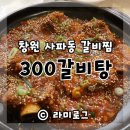 사파동300 이미지