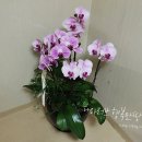 (주)삼오관리