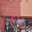 2학기(3월~6월) / 어린이 수채화교실 | 위풍당당 삐삐샘 근황 : <2024 여름 제3회 우리나라 좋은 동시>, <내가 만약에 말이라면> 기대돼요!