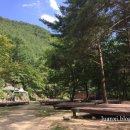 항골계곡야영장 이미지